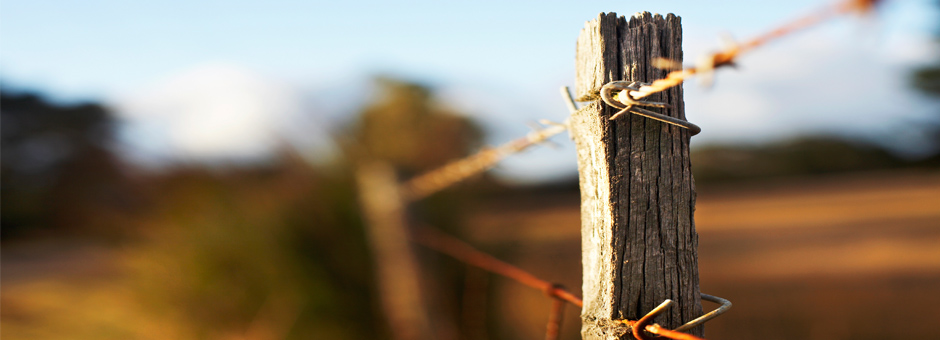 Fence-01